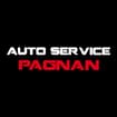 Logo Autoservice Pagnan Di Pagnan Walter