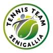 Logo Tennis Team Senigallia - Società Sportiva Dilettantistica A Responsabilita' Limitata
