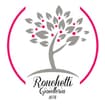 Logo Ronchetti Srl