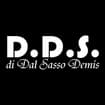 Logo D.d.s. Srl
