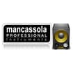 Logo Mancassola Professional Music Instruments Di Luca E Maurizio S.n.c.