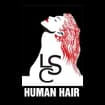 Logo L.s.c. Di Carzini Sandro