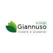 Logo Giannuso Corrado Azienda Agricola Florovivaista