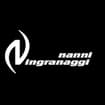 Logo Nanni Ingranaggi Di Nanni Silvano