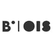 Logo Boadicea Srl