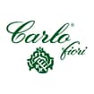 Logo Carlo Fiori S.a.s. Di Pirollo Stefano E Sinchetto Laura