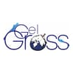 Logo Gel Gross Srl