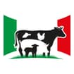 Logo Ms Meat Srl