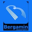 Logo Bergamin Srl