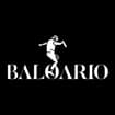 Logo Baloario Srl