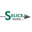 Logo Selice Auto Srl