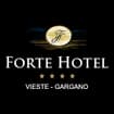 Logo Forte Hotel Srl