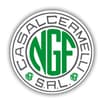 Logo N.g.f. Srl