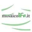 Logo C.m.i. Srl