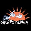 Logo Gruppo Demar Srl