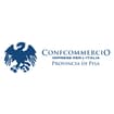 Logo Confcommercio Pisa Finanza Srl