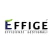 Logo Effige - Efficienze Gestionali S.a.s. Di Alessandro Romagnoli