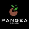 Logo Pangea Biofarm Società Agricola Srl
