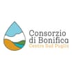 Logo Consorzio Di Bonifica Centro Sud Puglia