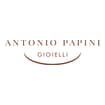 Logo Antonio Papini Srl