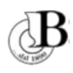 Logo Borla Bohemia Srl O In Forma Abbreviata Borla Srl