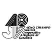 Logo Società Cooperativa Artigiana Di Garanzia Agno-Chiampo - In Liquidazione