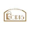 Logo Pellicceria Loris S.a.s. Di Biasio Andrea & C.