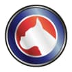 Logo Synt Chemical Srl