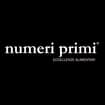Logo Numeri Primi Srl