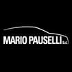 Logo Mario Pauselli Srl