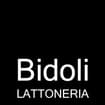 Logo Bidoli Lattoneria Srl
