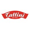 Logo Tattini Srl