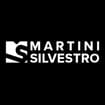 Logo Costruzioni Stradali Martini Silvestro Srl