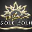 Logo F.lli Laise Srl