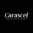 Logo Carascel Srl