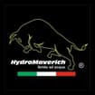 Logo Hydromaverich Srl