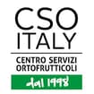 Logo C.s.o. Italy - Centro Servizi Ortofrutticoli - Società Cooperativa