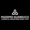 Logo Massimo Guarducci Srl