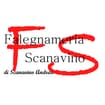 Logo Scanavino Andrea