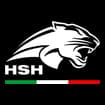 Logo Hsh Security Service Srl