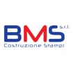 Logo B.m.s. Costruzione Stampi Srl
