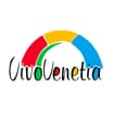 Logo Vivo Srl