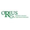 Logo Orius Srl