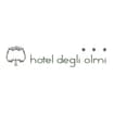 Logo "Albergo Degli Olmi Di Di Nunzio Adriano & C. - S.a.s. -"