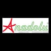 Logo Anadolu Srl