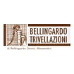 Logo Bellingardo Trivellazioni Di Bellingardo Alessandro
