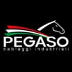 Logo Pegaso Cablaggi Industriali Srl