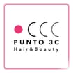 Logo Punto 3 C. Srl