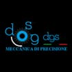 Logo Dgs Srl