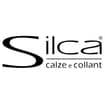 Logo "Silca Dei F.lli Beldi' Srl"